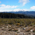 Bariloche, Patagonia, Argentina